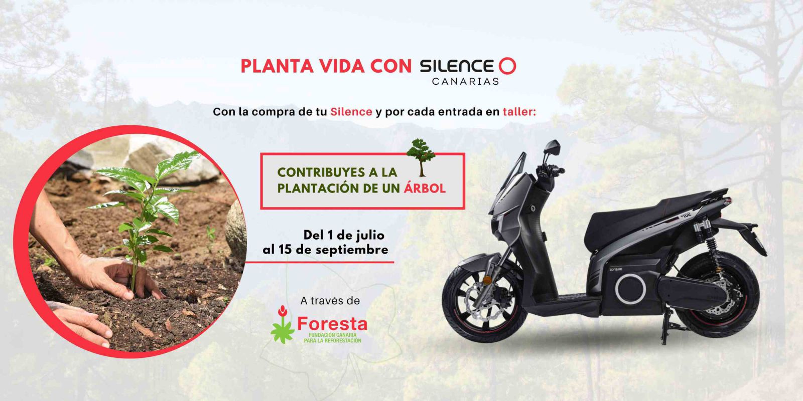 “Planta Vida”, la iniciativa solidaria de Silence Canarias y sus clientes